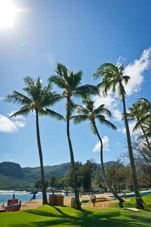 Beautiful view of Nawiliwili, Kauai Island, Hawaii, USAの写真素材