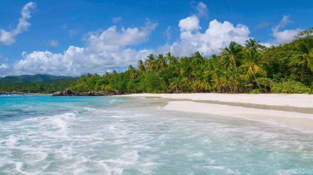 Tropical Beach with Palm Trees and Blue Skyの写真素材