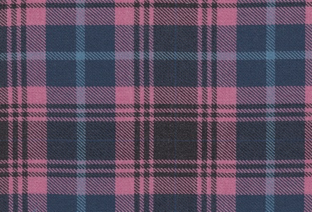fabric plaid texture. (High.res.scan)