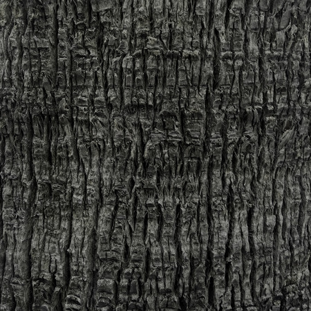 Black marble texture  High resolution の写真素材