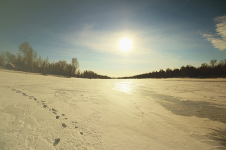 Forest and field in snow in the sunsetの写真素材