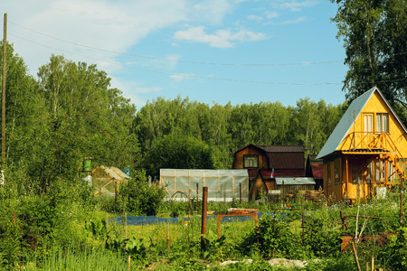 Russian small village in the summerの写真素材