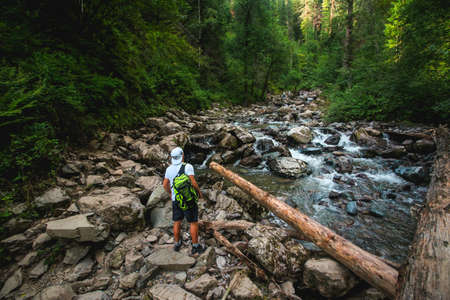 Tourist with a backpack in the forestの写真素材