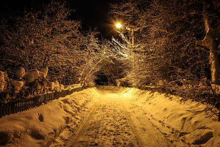 Snowy road with yellow lighting in the forestの写真素材