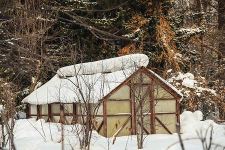 Snow covered greenhouse in the vegetable garden in winter close-up. Outdoorsの写真素材