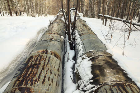 Old heating pipes in the forest close-up. snowy winter. Outdoorsの写真素材