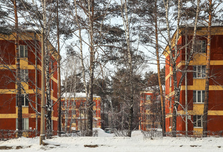 Old small residential area in the middle of the forest in winter. Outdoorsの写真素材