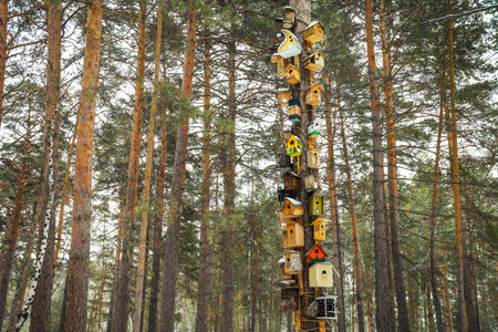 A lot of colored wooden handmade birdhouses on a tree in the forest. selective focusの写真素材