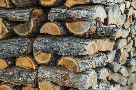 Woodpile. textured firewood background. Pile of old dry chopped firewood
