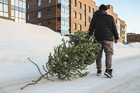 A man drags an used Christmas tree to the dumpster. After Christmas. snowy winter. outdoors. selective focusの写真素材