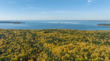 Landscape of autumn forest and sea. beautiful autumn colors. air viewの写真素材