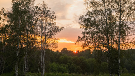 Beautiful summer sunset. Green forest and orange sky. natural landscapeの写真素材