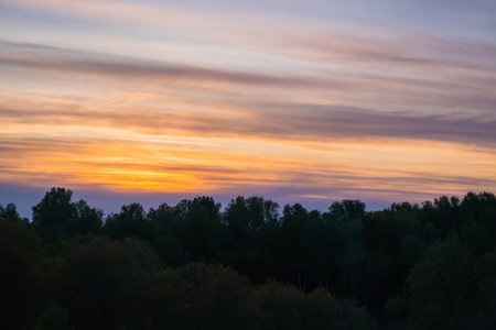 Beautiful orange sunset and forest. nature backgroundの写真素材