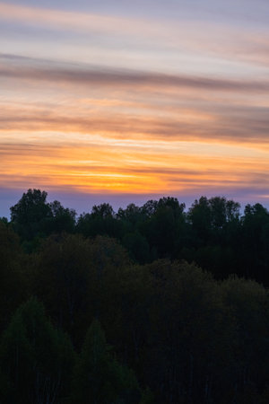 Beautiful orange sunset and forest. nature backgroundの写真素材