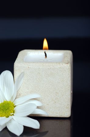 candle and daisy on blackの写真素材