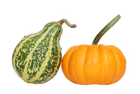 green and orange gourdの写真素材