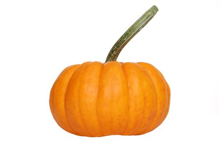 pumpkin gourdの写真素材
