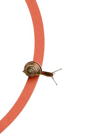 Snail raceの写真素材
