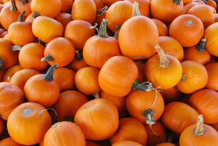 Pie Pumpkins Backgroundの写真素材