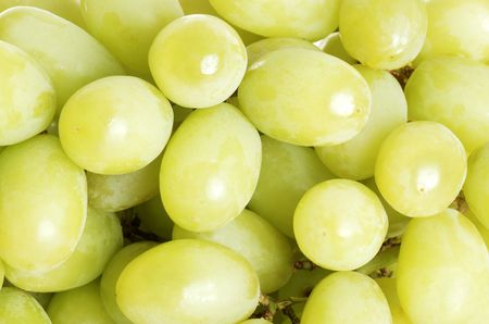 green grapesの写真素材