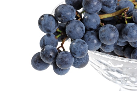 closeup concord grapesの写真素材