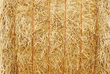 closeup hay baleの写真素材