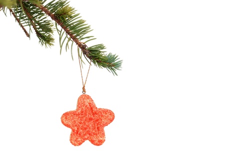 red star cookie hanging on christmas tree branchの写真素材