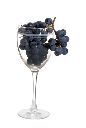grapes in wine glassの写真素材