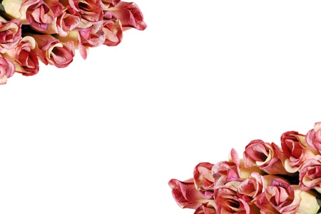 roses making a frameの写真素材