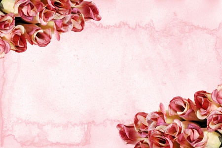 Roses with pink watercolor paperの写真素材