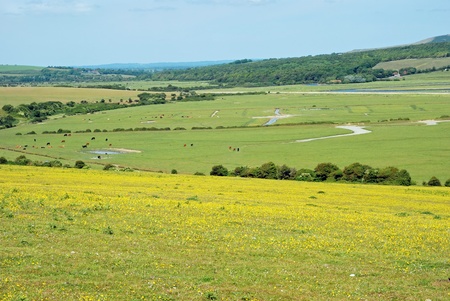 english countryside with wildflowersの写真素材