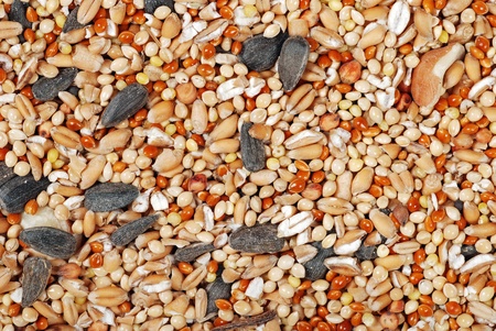 mixed bird seed backgroundの写真素材