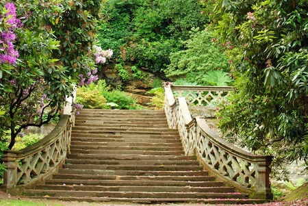 stone stairs in Hever Castle gardens Englandの写真素材