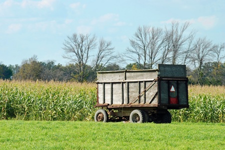 Farm trailer by a corn fieldの写真素材