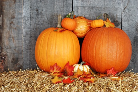 pumpkins with fall leavesの写真素材