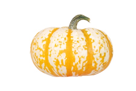 orange and white pumpkinの写真素材