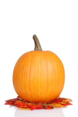 pumpkin on fall leavesの写真素材