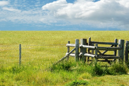 Gate with green meadowの写真素材