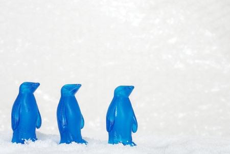 Three blue penguins in snowの写真素材
