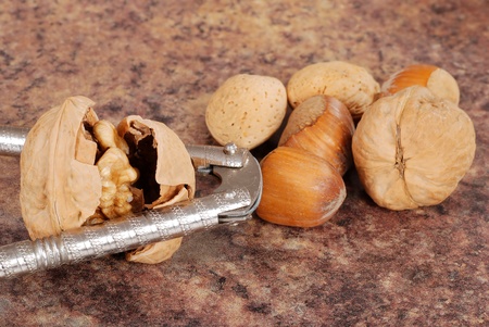 cracked walnut with nutcracker