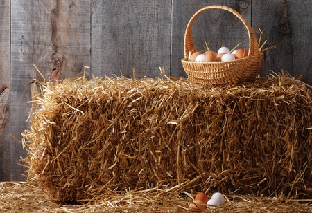 Basket of eggs on hay baleの写真素材