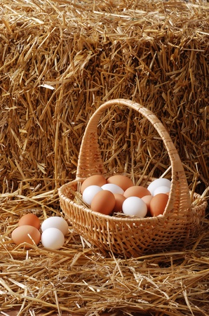 Eggs in a basketの写真素材