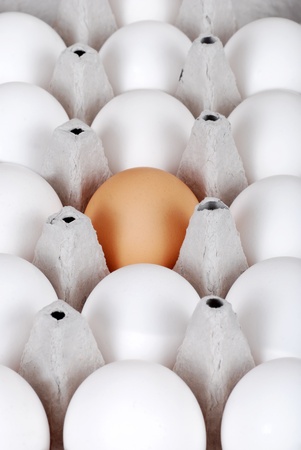 Carton of white eggs with one brownの写真素材