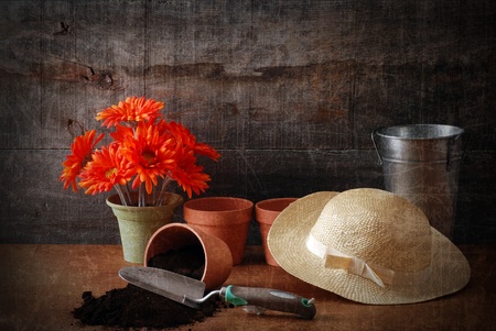 grunge gardening still life with textureの写真素材