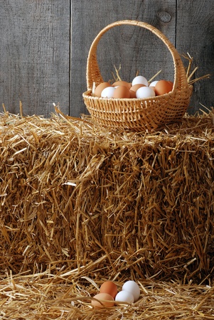 Basket with brown and white eggsの写真素材