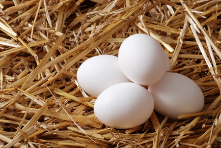 Pile of white eggs in strawの写真素材