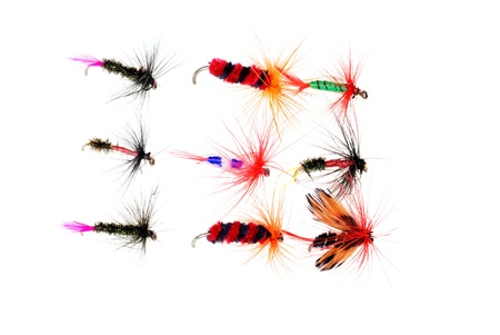 Isolated dry fishing fliesの写真素材
