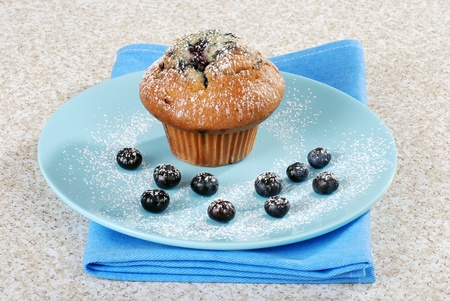 blueberry muffin on a plate with icing sugarの写真素材