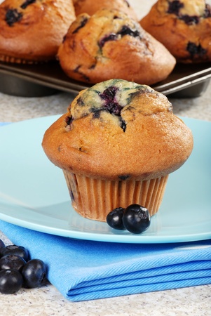 blueberry muffinの写真素材