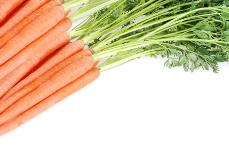 row of fresh garden carrotsの写真素材